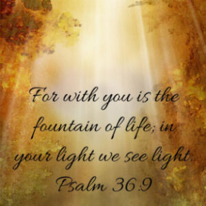 Reflection for 1st February 3