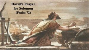 Reflection 15 February 26 1