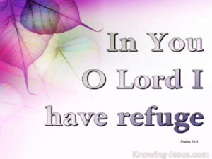 Reflection 15th March 26 2