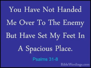 Reflection 15th March 26 3