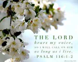 Reflection 19th April 26 2