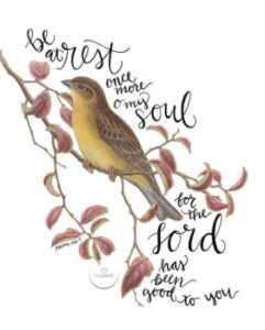 Reflection 19th April 26 3